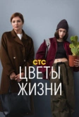 Цветы жизни (2024)